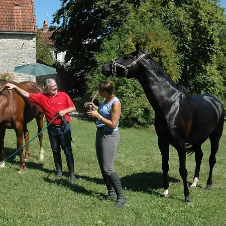 Le Four A Pain Holiday home